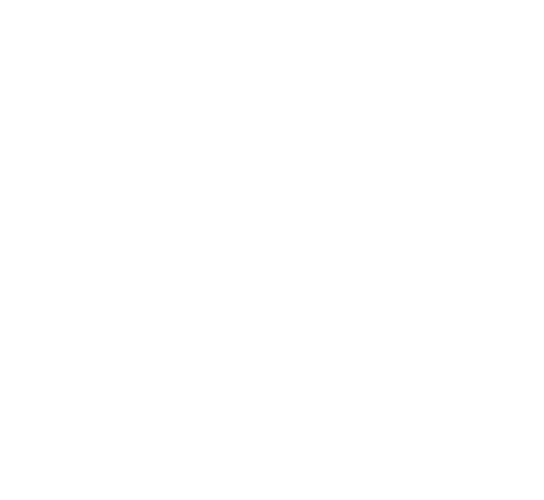 Christmas at Central_insetImage